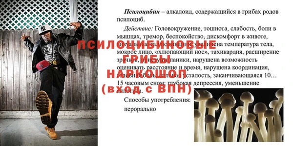 не бодяженный Елабуга
