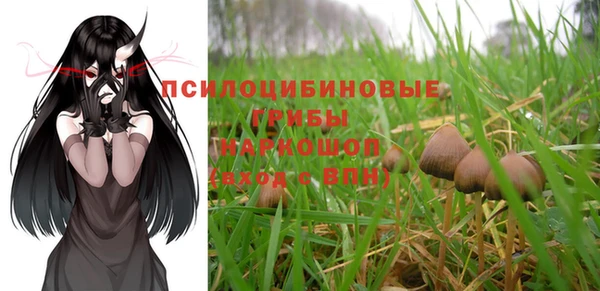 соль курить ск Ельня
