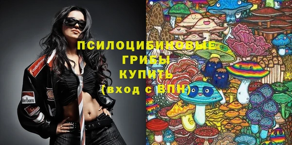 не бодяженный Елабуга